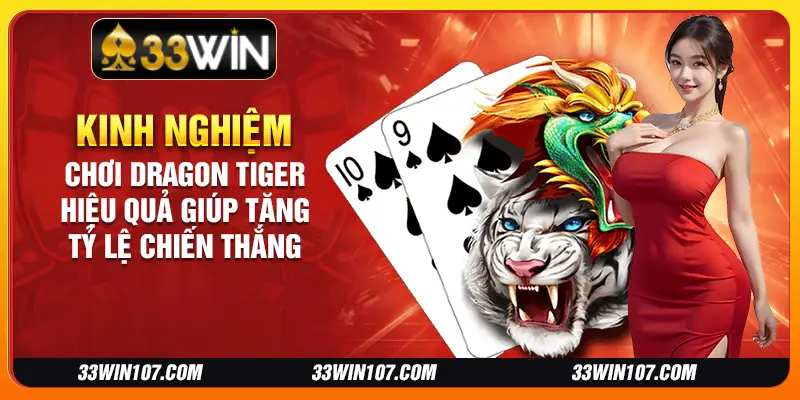 Kinh nghiệm chơi Dragon Tiger hiệu quả giúp tăng tỷ lệ chiến thắng